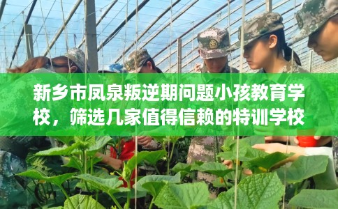 新乡市凤泉叛逆期问题小孩教育学校，筛选几家值得信赖的特训学校！