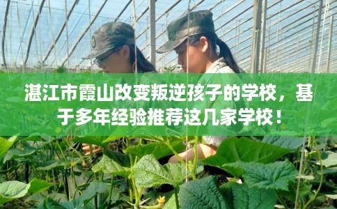 湛江市霞山改变叛逆孩子的学校，基于多年经验推荐这几家学校！