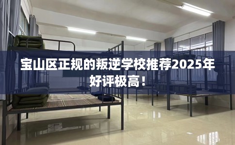 宝山区正规的叛逆学校推荐2025年好评极高! 宝山区正规的叛逆学校推荐2025年好评极高!