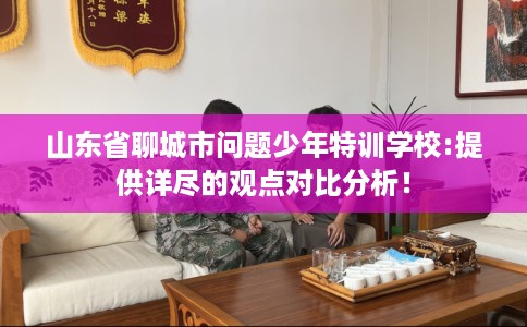 山东省聊城市问题少年特训学校:提供详尽的观点对比分析! 山东省聊城市问题少年特训学校:提供详尽的观点对比分析!