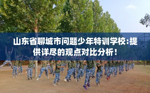 山东省聊城市问题少年特训学校:提供详尽的观点对比分析！