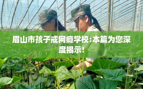 眉山市孩子戒网瘾学校:本篇为您深度揭示! 眉山市孩子戒网瘾学校:本篇为您深度揭示!