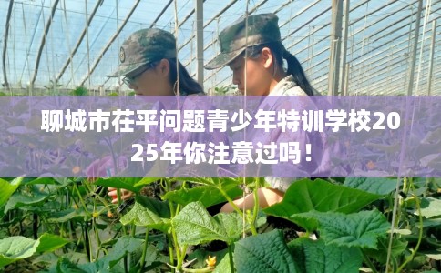 聊城市茌平问题青少年特训学校2025年你注意过吗！