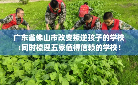 广东省佛山市改变叛逆孩子的学校:同时梳理五家值得信赖的学校！