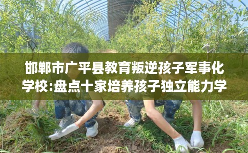 邯郸市广平县教育叛逆孩子军事化学校:盘点十家培养孩子独立能力学校！