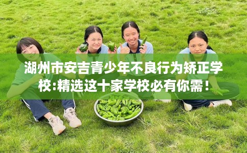 湖州市安吉青少年不良行为矫正学校:精选这十家学校必有你需！