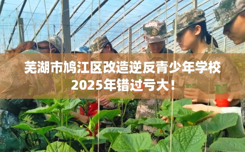芜湖市鸠江区改造逆反青少年学校2025年错过亏大！
