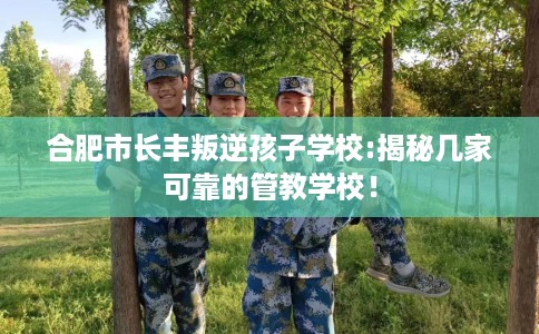 合肥市长丰叛逆孩子学校:揭秘几家可靠的管教学校! 合肥市长丰叛逆孩子学校:揭秘几家可靠的管教学校!