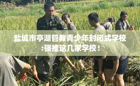 盐城市亭湖管教青少年封闭式学校:强推这几家学校! 盐城市亭湖管教青少年封闭式学校:强推这几家学校!