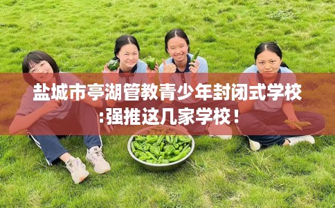 盐城市亭湖管教青少年封闭式学校:强推这几家学校! 盐城市亭湖管教青少年封闭式学校:强推这几家学校!