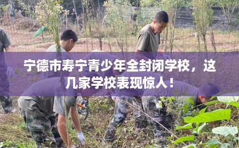 宁德市寿宁青少年全封闭学校，这几家学校表现惊人！
