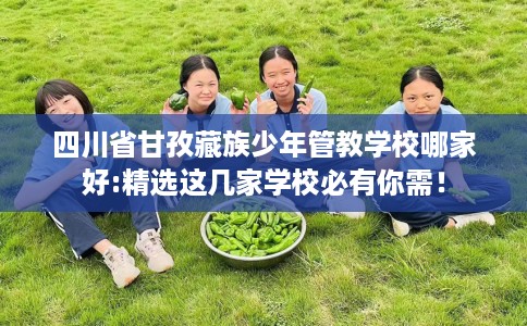 四川省甘孜藏族少年管教学校哪家好:精选这几家学校必有你需！