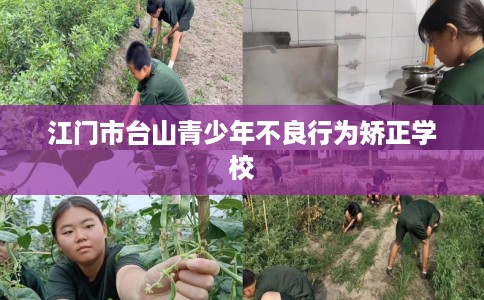 江门市台山青少年不良行为矫正学校 江门市台山青少年不良行为矫正学校