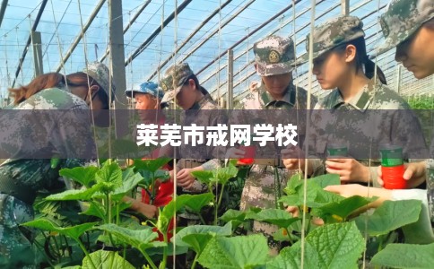 莱芜市戒网学校 莱芜市戒网学校