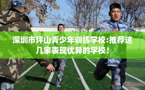 深圳市坪山青少年训练学校:推荐这几家表现优异的学校! 深圳市坪山青少年训练学校:推荐这几家表现优异的学校!
