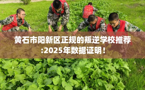 黄石市阳新区正规的叛逆学校推荐:2025年数据证明! 黄石市阳新区正规的叛逆学校推荐:2025年数据证明!