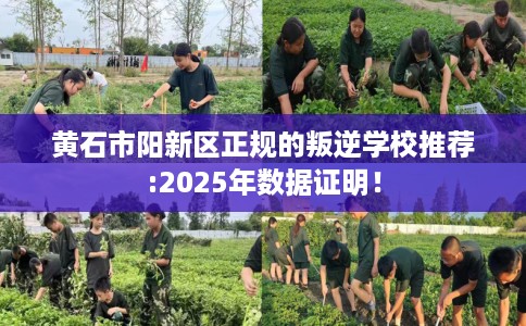 黄石市阳新区正规的叛逆学校推荐:2025年数据证明! 黄石市阳新区正规的叛逆学校推荐:2025年数据证明!