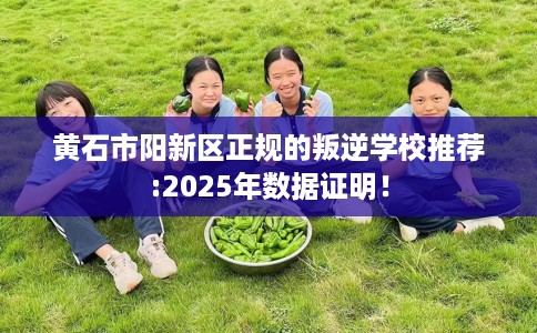 黄石市阳新区正规的叛逆学校推荐:2025年数据证明！