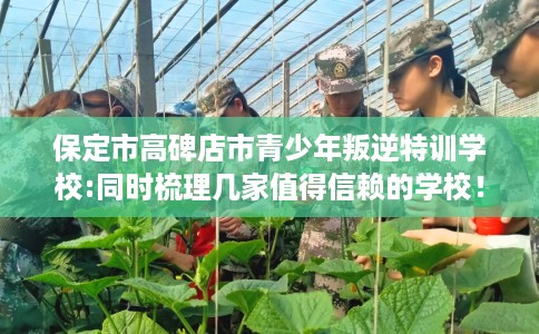 保定市高碑店市青少年叛逆特训学校:同时梳理几家值得信赖的学校！