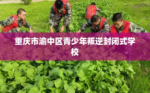 重庆市渝中区青少年叛逆封闭式学校