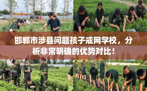 邯郸市涉县问题孩子戒网学校,分析非常明确的优势对比! 邯郸市涉县问题孩子戒网学校,分析非常明确的优势对比!