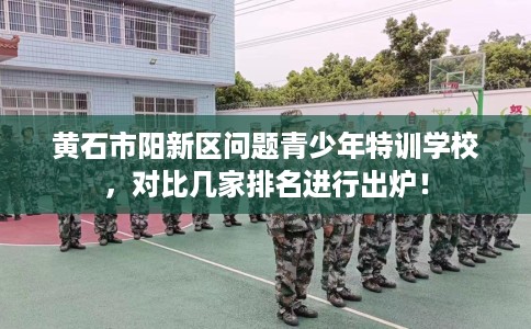 黄石市阳新区问题青少年特训学校，对比几家排名进行出炉！