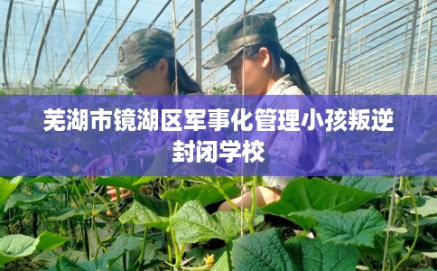 芜湖市镜湖区军事化管理小孩叛逆封闭学校