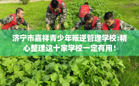 济宁市嘉祥青少年叛逆管理学校:精心整理这十家学校一定有用！