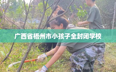 广西省梧州市小孩子全封闭学校