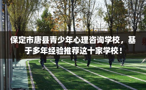 保定市唐县青少年心理咨询学校，基于多年经验推荐这十家学校！