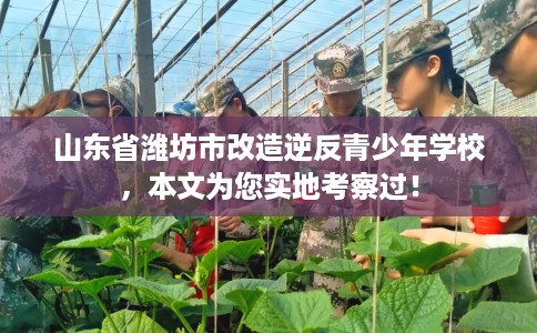 山东省潍坊市改造逆反青少年学校,本文为您实地考察过! 山东省潍坊市改造逆反青少年学校,本文为您实地考察过!