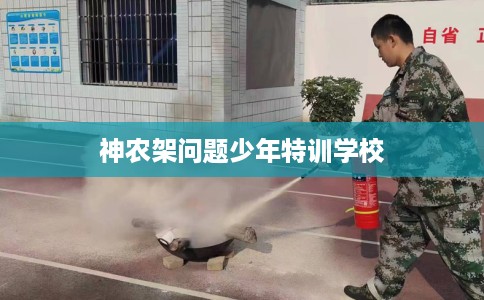 神农架问题少年特训学校