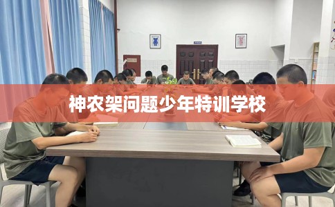 神农架问题少年特训学校
