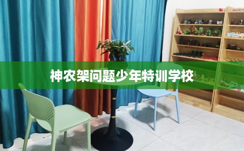 神农架问题少年特训学校