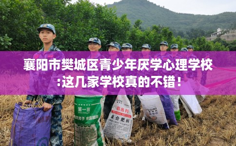 襄阳市樊城区青少年厌学心理学校:这几家学校真的不错！