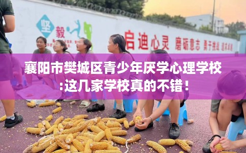 襄阳市樊城区青少年厌学心理学校:这几家学校真的不错！