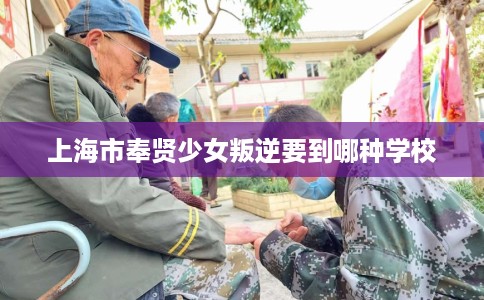 上海市奉贤少女叛逆要到哪种学校