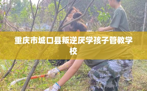 重庆市城口县叛逆厌学孩子管教学校