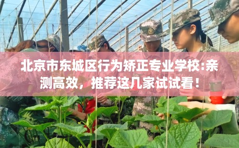 北京市东城区行为矫正专业学校:亲测高效，推荐这几家试试看！