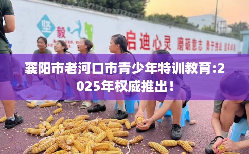 襄阳市老河口市青少年特训教育:2025年权威推出！