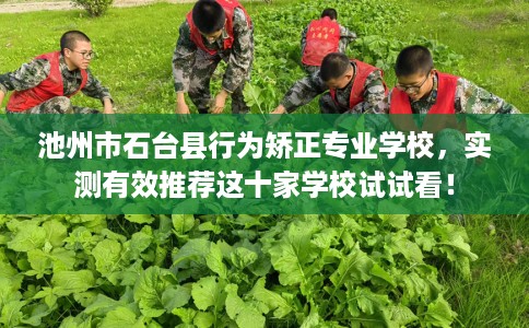 池州市石台县行为矫正专业学校，实测有效推荐这十家学校试试看！