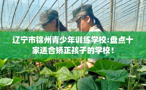 辽宁市锦州青少年训练学校:盘点十家适合矫正孩子的学校! 辽宁市锦州青少年训练学校:盘点十家适合矫正孩子的学校!