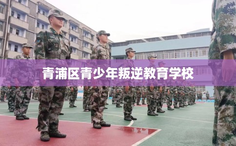 青浦区青少年叛逆教育学校