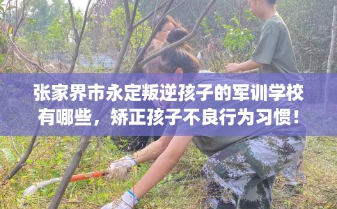 张家界市永定叛逆孩子的军训学校有哪些，矫正孩子不良行为习惯！