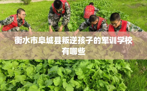 衡水市阜城县叛逆孩子的军训学校有哪些 衡水市阜城县叛逆孩子的军训学校有哪些