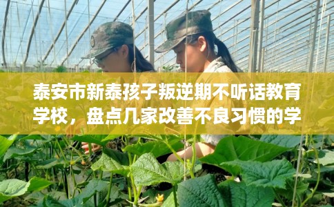 泰安市新泰孩子叛逆期不听话教育学校，盘点几家改善不良习惯的学校！