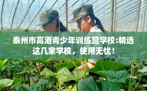 泰州市高港青少年训练营学校:精选这几家学校，使用无忧！