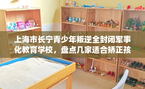 上海市长宁青少年叛逆全封闭军事化教育学校，盘点几家适合矫正孩子的学校！