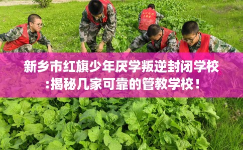 新乡市红旗少年厌学叛逆封闭学校:揭秘几家可靠的管教学校！