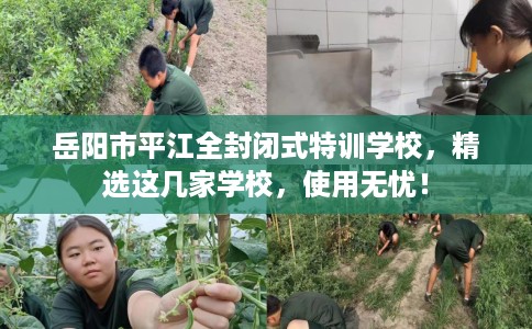 岳阳市平江全封闭式特训学校,精选这几家学校,使用无忧! 岳阳市平江全封闭式特训学校,精选这几家学校,使用无忧!